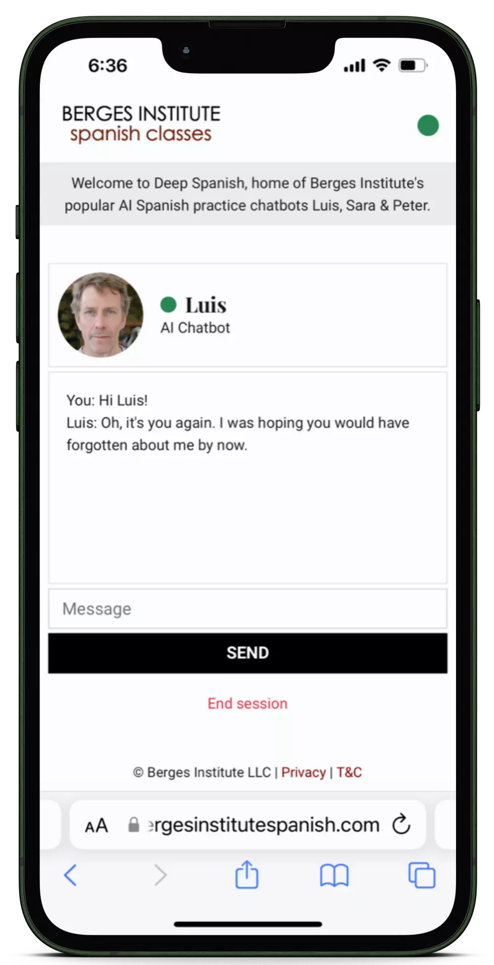Phone mockup Luis Spanish AI chatbot